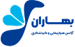 سیتی‌نت